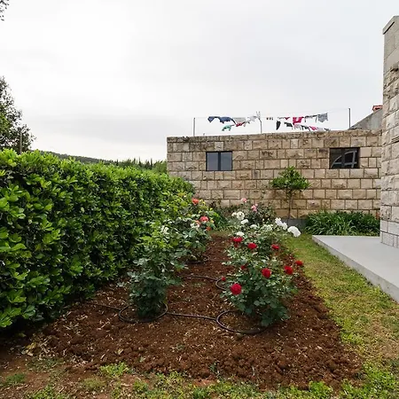 Dubrovnik Banac Lejlighed Gruda