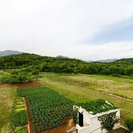 Dubrovnik Banac *